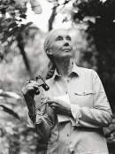 Dr Jane Goodall sends birthday message of hope to Monarto Safari Park chimpanzee
