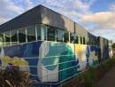 Melton Waves window art provides privacy for pool users