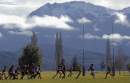 New laws see New Zealand grassroots sporting clubs fearing ‘extinction event’
