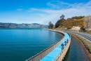 Otago Harbour shared path opened to the public