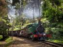Victoria’s tourist and heritage rail sector receives additional financial support