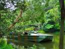 Rainforestation Nature Park Kuranda announced as global Peace Park