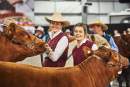 2021 Royal Melbourne Show receives $3.2 million to support costs incurred from cancellation