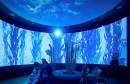 SEA LIFE Melbourne Aquarium launches light inspired immersive digital experience