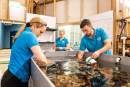 Merlin Entertainments spotlights SEA LIFE Sydney Aquarium’s coral conservation project