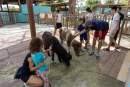 Singapore Zoo opens petting zoo and water maze in new KidzWorld zone