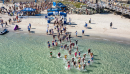 Record numbers for Busselton Open Water Championships and OceanSwim Festival