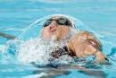 Swimming Australia Board appoints interim Co-Chairs