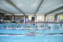 Feasibility study to be undertaken on new indoor sport complex and 50 metre pool for Tweed Shire