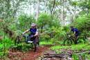 Western Australian National Parks to be made more accessible for people with disability