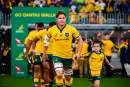 Rugby Australia appoints panel to conduct post World Cup Wallabies review