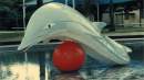 Dolphin attraction returns to Wentworthville Memorial Swim Centre