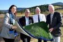 Work begins on Wollongong City Council’s first artificial turf sports fields
