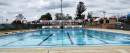 Management and Operation of the Wondai Swimming Pool