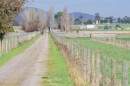 Funding secured for next stage of Yarra Valley Trail