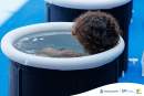 Leading aquatic and fitness bodies deliver joint guidance on Cold Water Immersion therapy