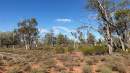 Former Queensland sheep station becomes protected nature refuge