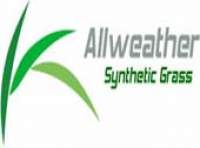 ALL WEATHER SYNTHETIC GRASS